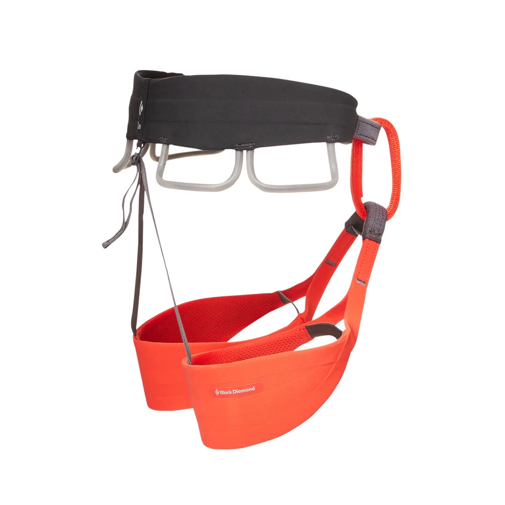 Black Diamond Solution Harness Women 2 Black Diamond Solution Harness Women - Image 2