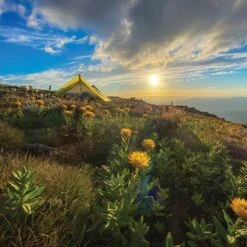 Batcave 2 Ultralight Thru-Hiker Tent -Edelrid Shop Batwing Batcave Mount Bogong. By Carol Binder 2a1b53b9 e075 425a acd0 cf75d67a76a7