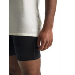 Icebreaker Anatomica Tank Men -Edelrid Shop SS21 MEN ANATOMICA TANK SNOW 103034104 8