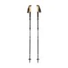 Black Diamond Alpine FLZ Trekking Poles