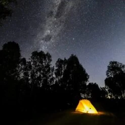 Dragonfly Tent Forest Green -Edelrid Shop mont dragonfly tent forest green tents shelters 61 10 04 19841746829461