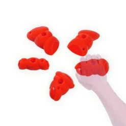 Wataaah Corylus 5 Holds Set 9 Wataaah Corylus 5 Holds Set -Edelrid Shop wataaah wataaah corylus 5 holds set other gear 15397628805256